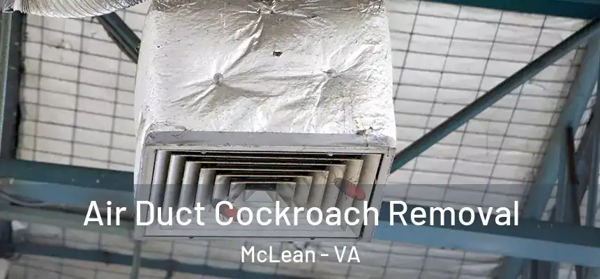 Air Duct Cockroach Removal McLean - VA