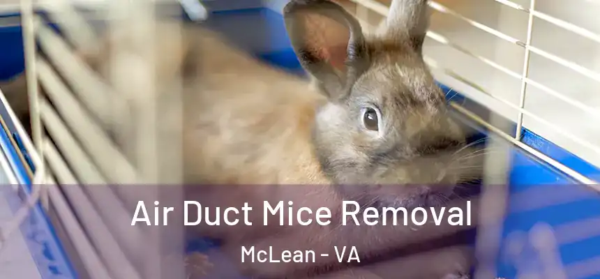 Air Duct Mice Removal McLean - VA