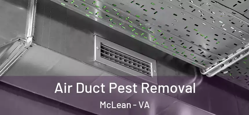 Air Duct Pest Removal McLean - VA