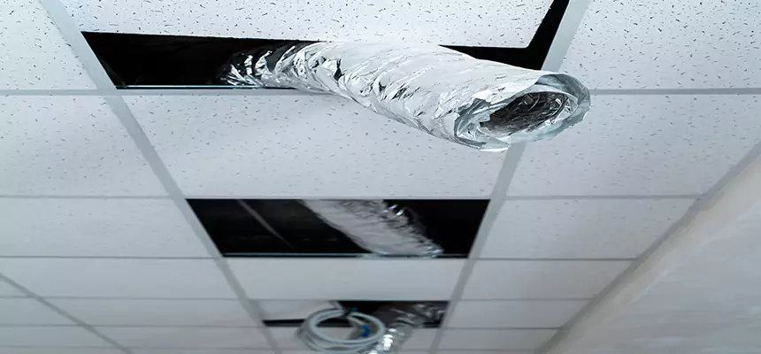 Our Air Duct Pet Hair Removal Services in McLean, VA