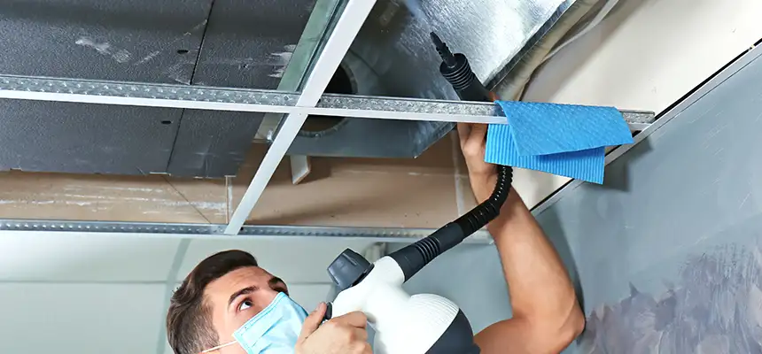 Our Air Duct Rodent Removal Services in McLean, VA