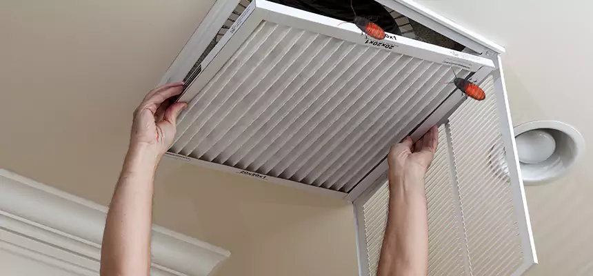 Our Insect Removal from Air Ducts Services in McLean, VA