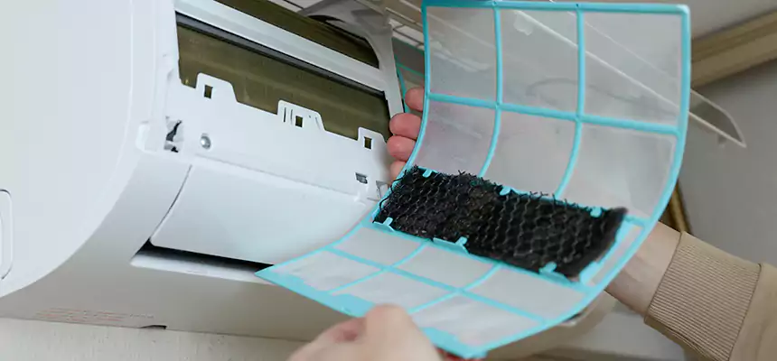 Gentle Ductwork Odor-Control Pet Dander Duct Cleaning in McLean, VA