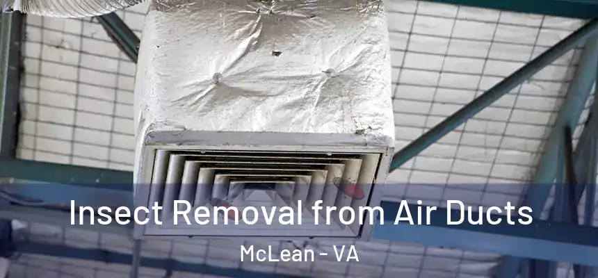 Insect Removal from Air Ducts McLean - VA