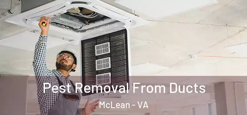  Pest Removal From Ducts McLean - VA