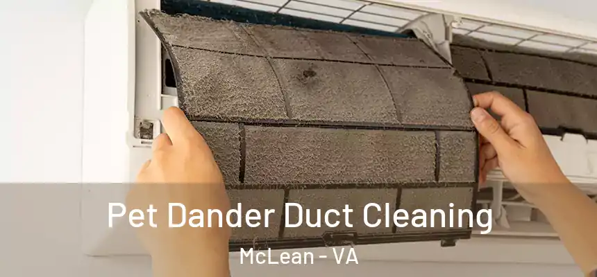 Pet Dander Duct Cleaning McLean - VA
