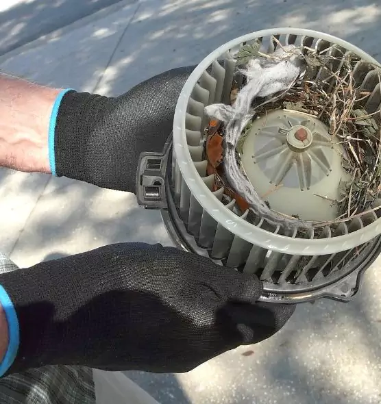 About Air Duct Mice Removal in McLean, VA