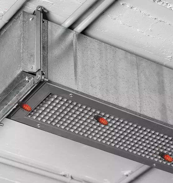 Affordable Insect Removal from Air Ducts in McLean, VA