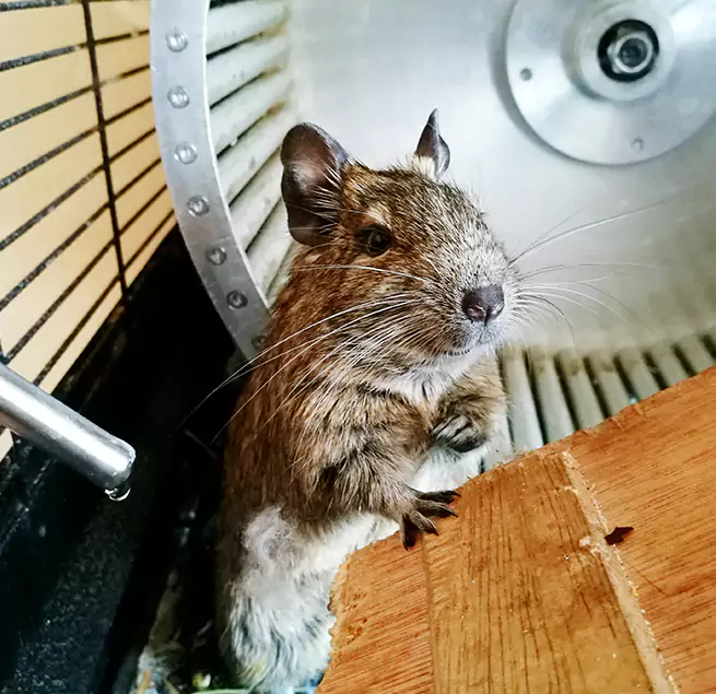 Why Homeowners & Businesses Trust Us McLean, VA?